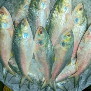 ১০ পিস (৫ কেজি)